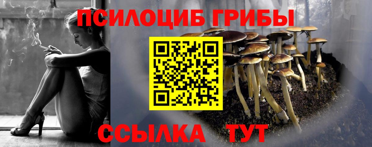 Усть-Джегута  Галлюциногенные грибы прущие грибы  Вход с VPN 