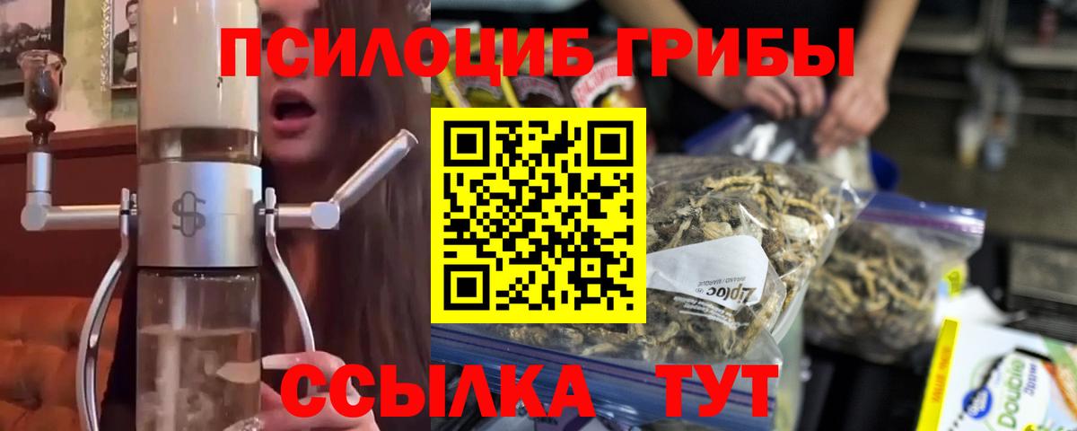 Псилоцибиновые грибы Psilocybine cubensis Усть-Джегута